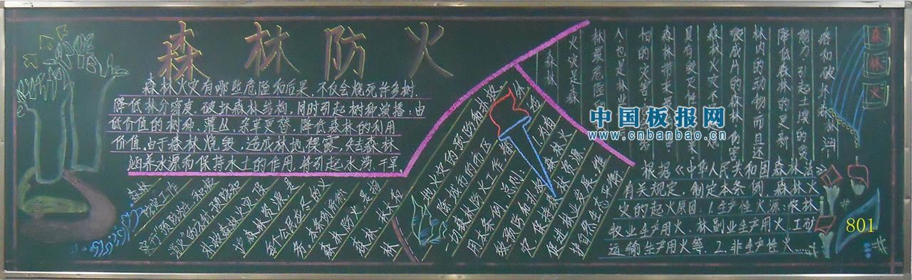 初中生森林防火手抄报大全