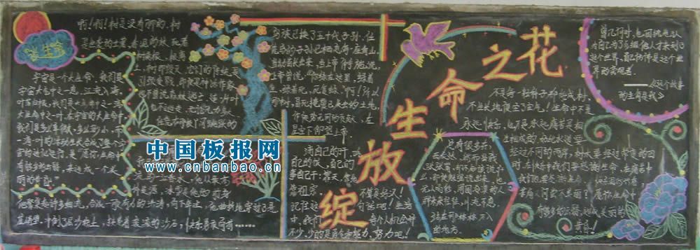 七色阳光黑板报6P