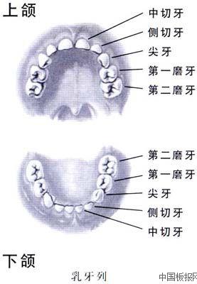 2014全国爱牙日主题