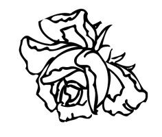 盛开的花朵插图-第5组8月1日发布