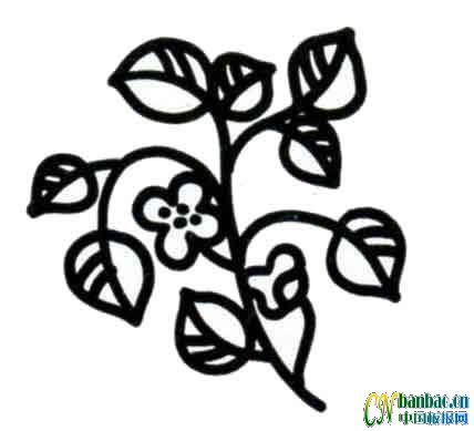 第二组花花之叶子类小插图 共五张