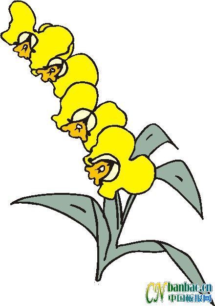 第十五组适合办电子板报的花朵类插图