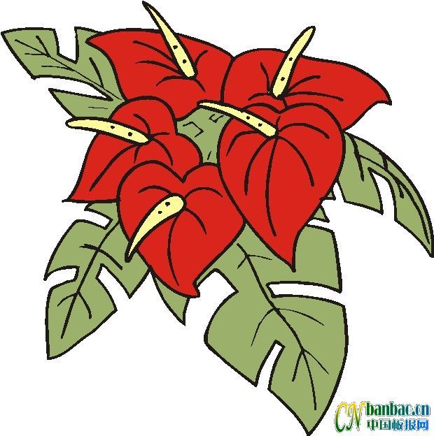 第十五组适合办电子板报的花朵类插图