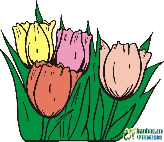 第十五组适合办电子板报的花朵类插图