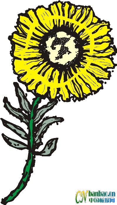 第十五组适合办电子板报的花朵类插图