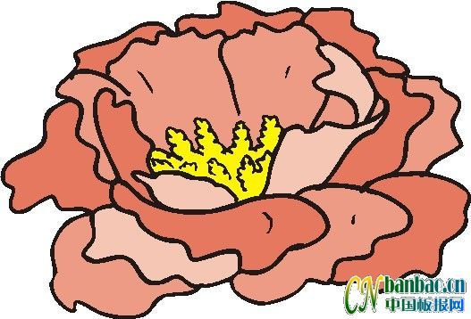第十五组适合办电子板报的花朵类插图