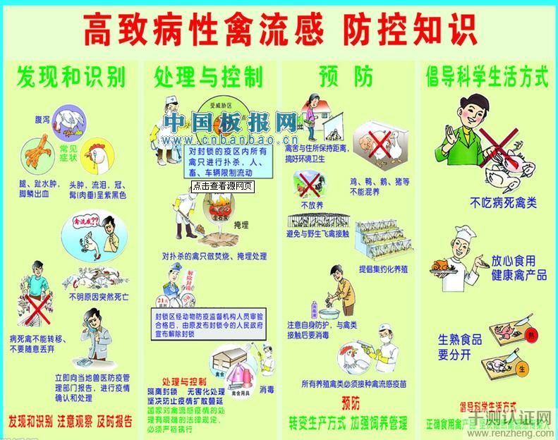 h7n9禽流感手抄报素材