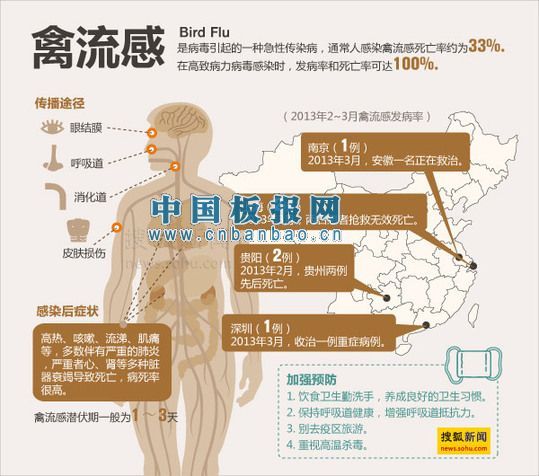 h7n9禽流感手抄报素材