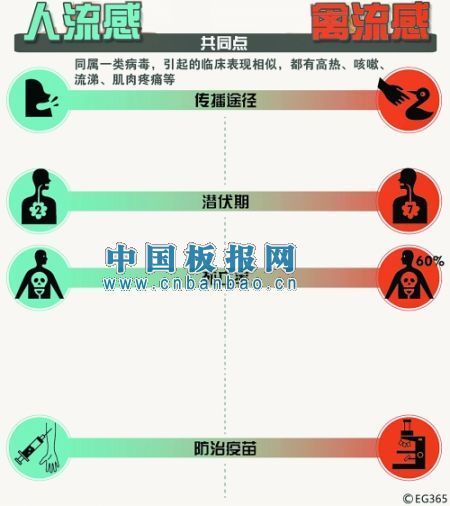 h7n9禽流感手抄报素材