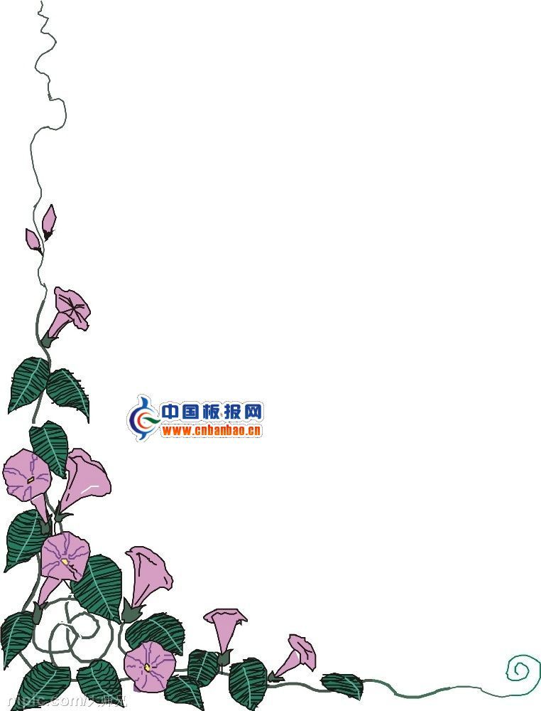 牵牛花花边图片