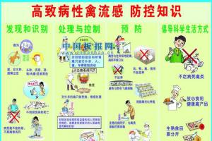 h7n9禽流感手抄报素材