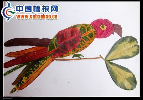 树叶画作品图片8P