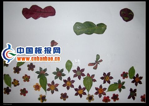 树叶画作品图片8P