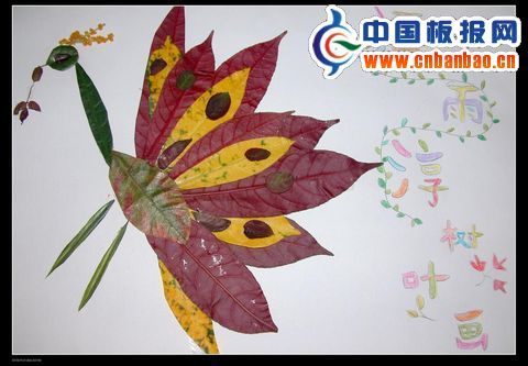 树叶画作品图片8P