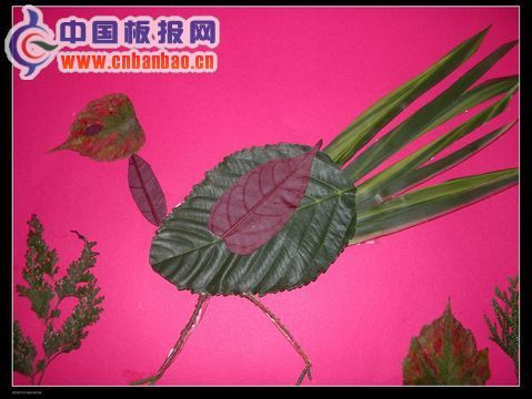 剪贴画：奔跑的鸟