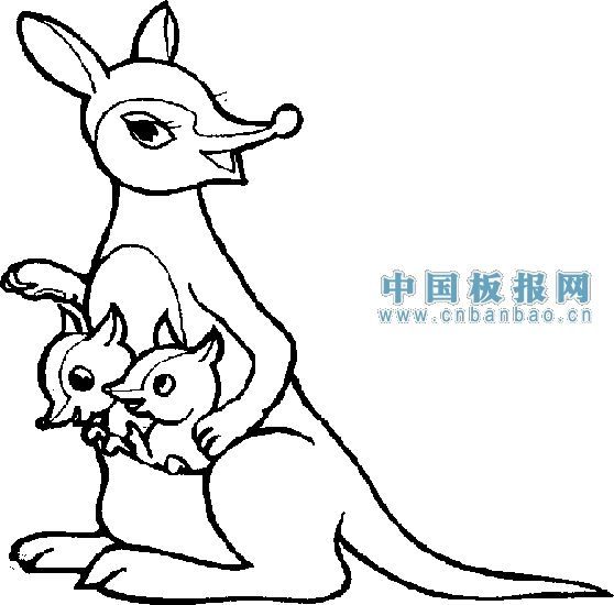 幼儿简笔画图片大全