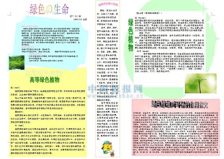 绿色的生命手抄报图片下载