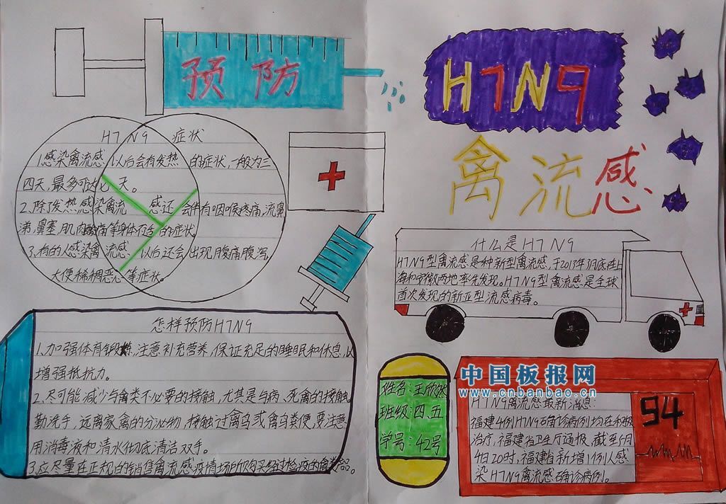 H7N9流感手抄报大全