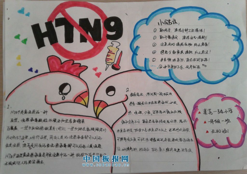 关于H7N9的手抄报图片