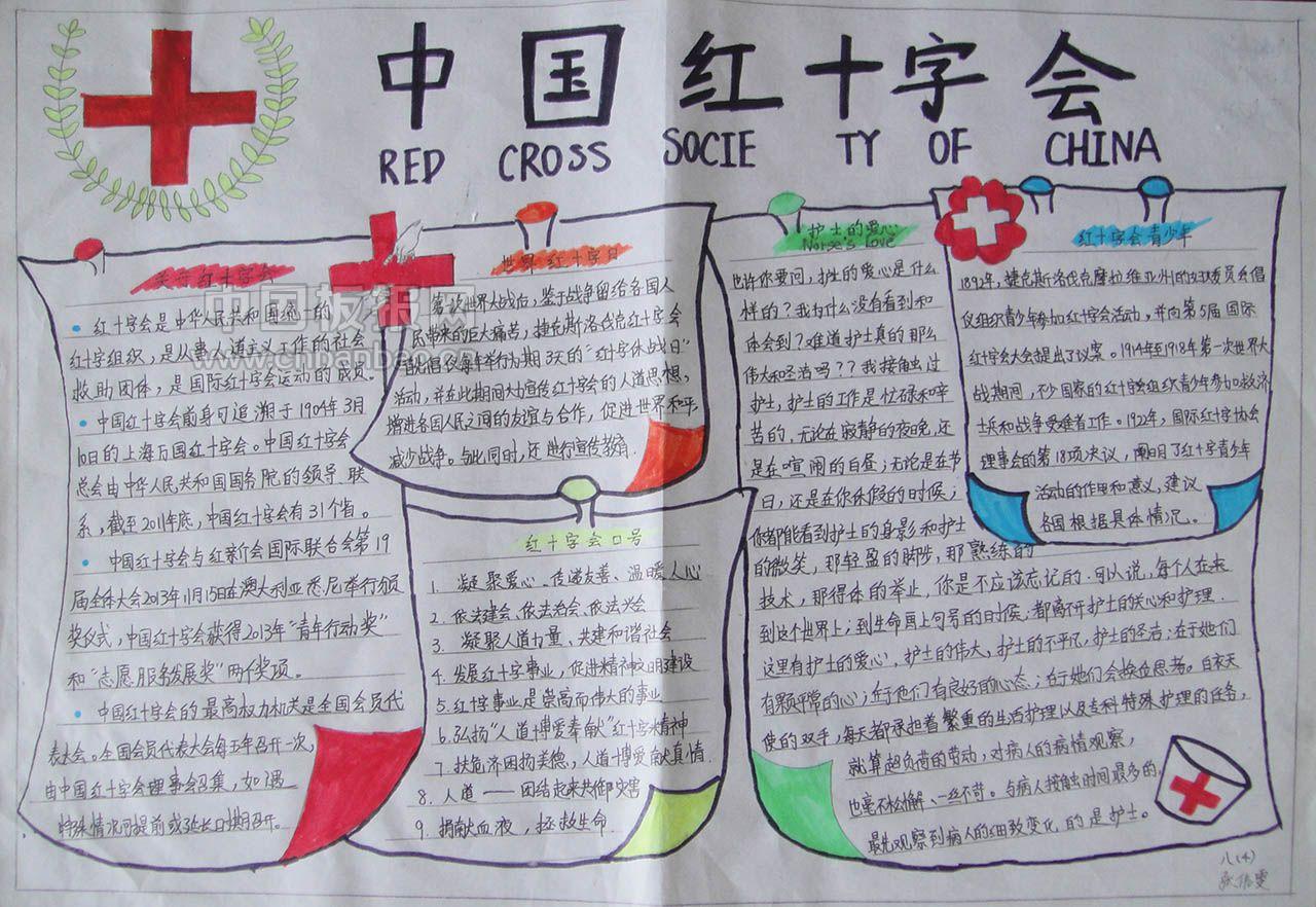 红十字日手抄报大全