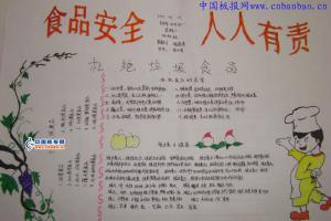 食品安全人人有责手抄报