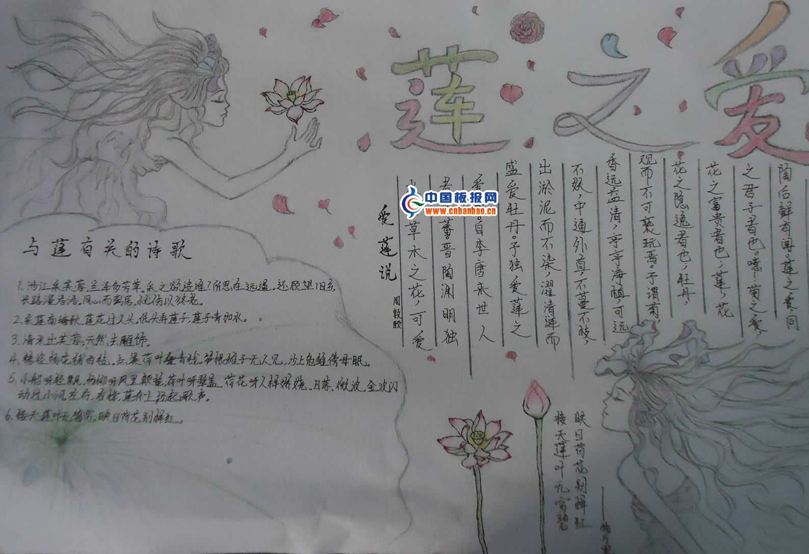 爱莲说手抄报图片10张