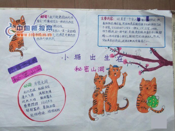 小猫出生在秘密山洞手抄报图片