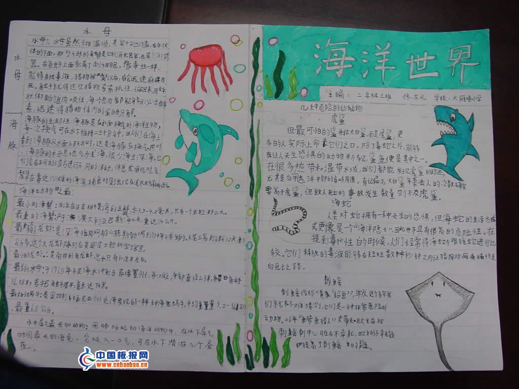 海底世界手抄报图片