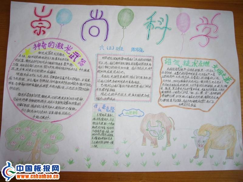 小学生科普知识手抄报