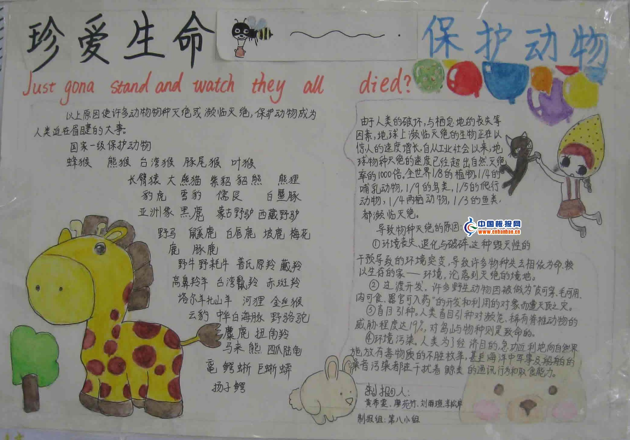 爱护小动物手抄报12p