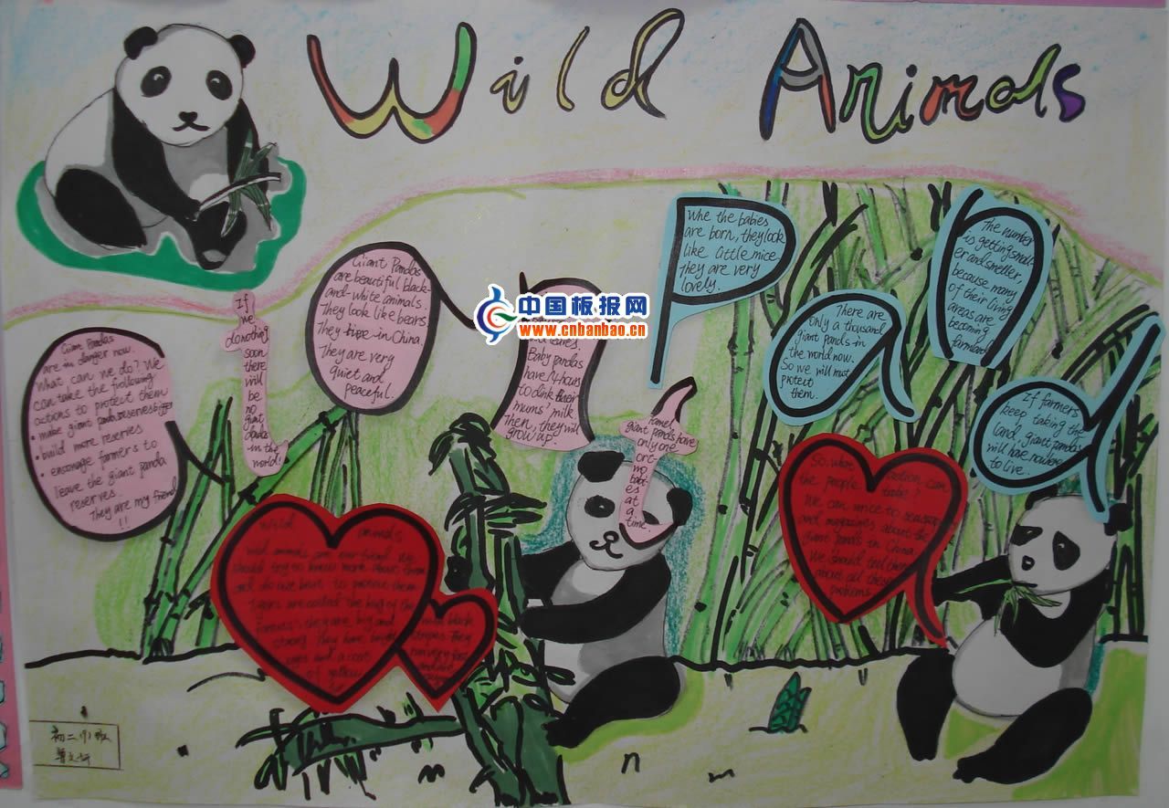 爱护动物英文小报：wild animds