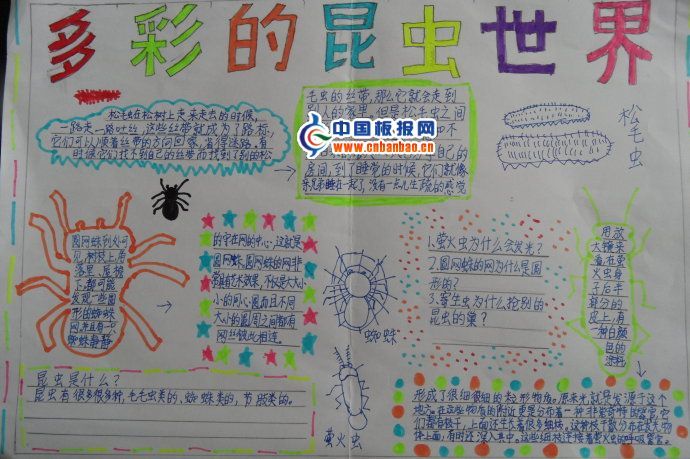 关于昆虫的手抄报图片3张
