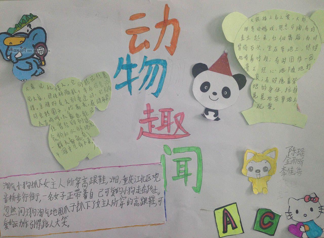 动物趣事手抄报作品