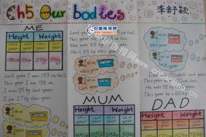 英语手抄报：our bodies