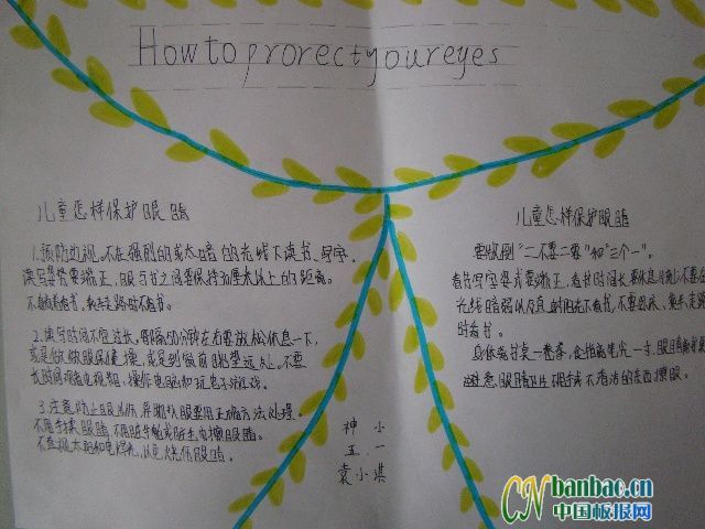 护眼手抄报-how to prorect your eyes