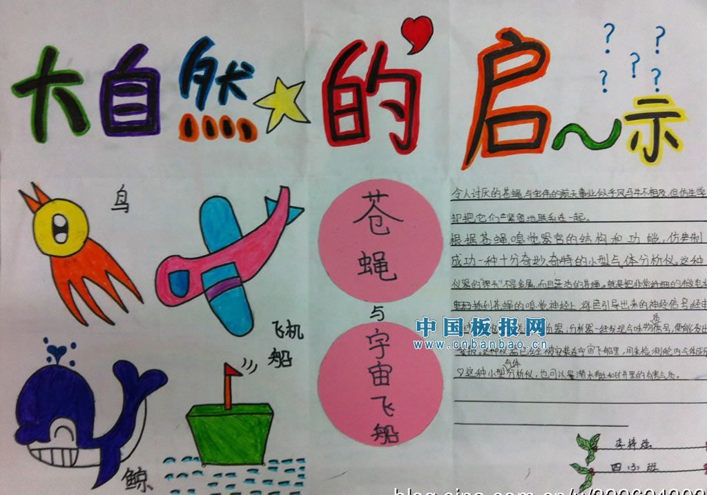 大自然的启示小报设计图