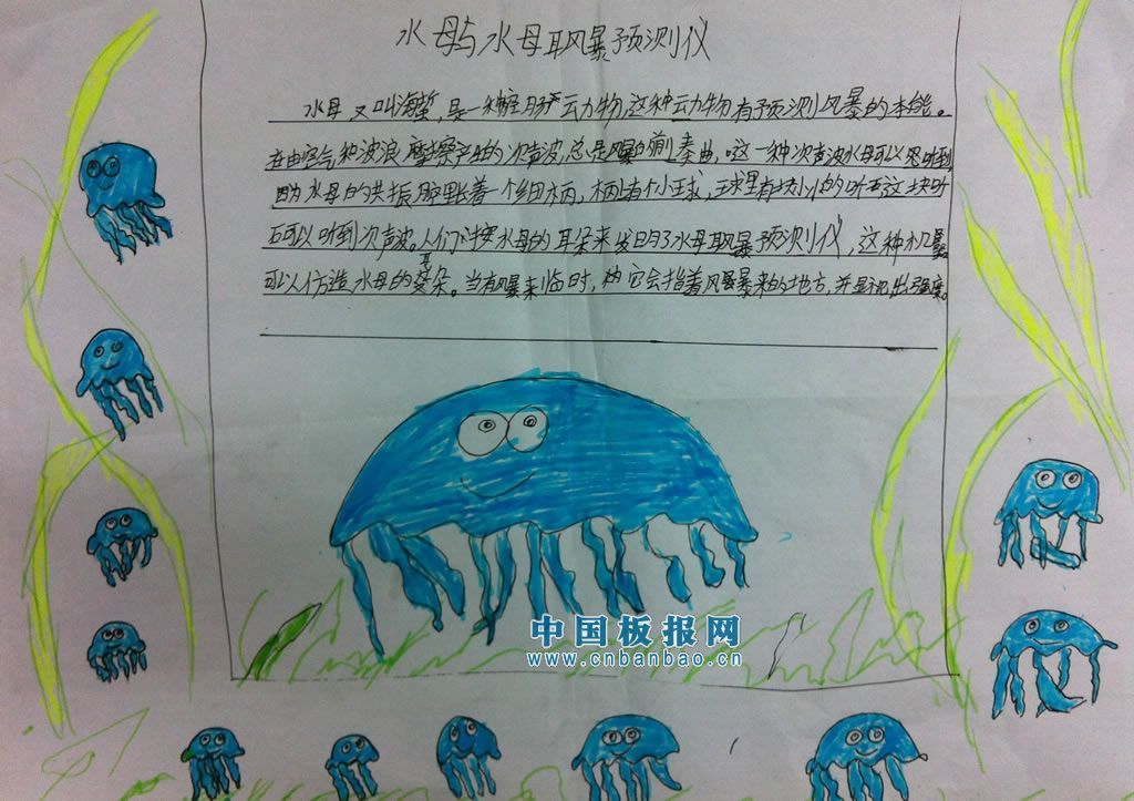 大自然的启示小报设计图