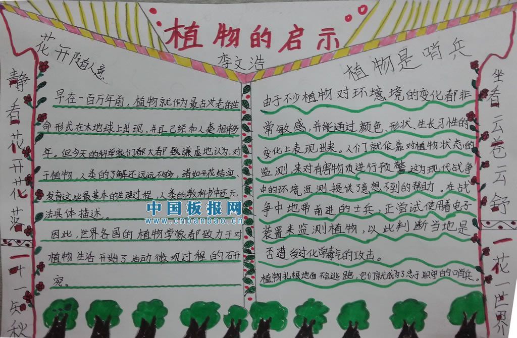 大自然的启示小报设计图