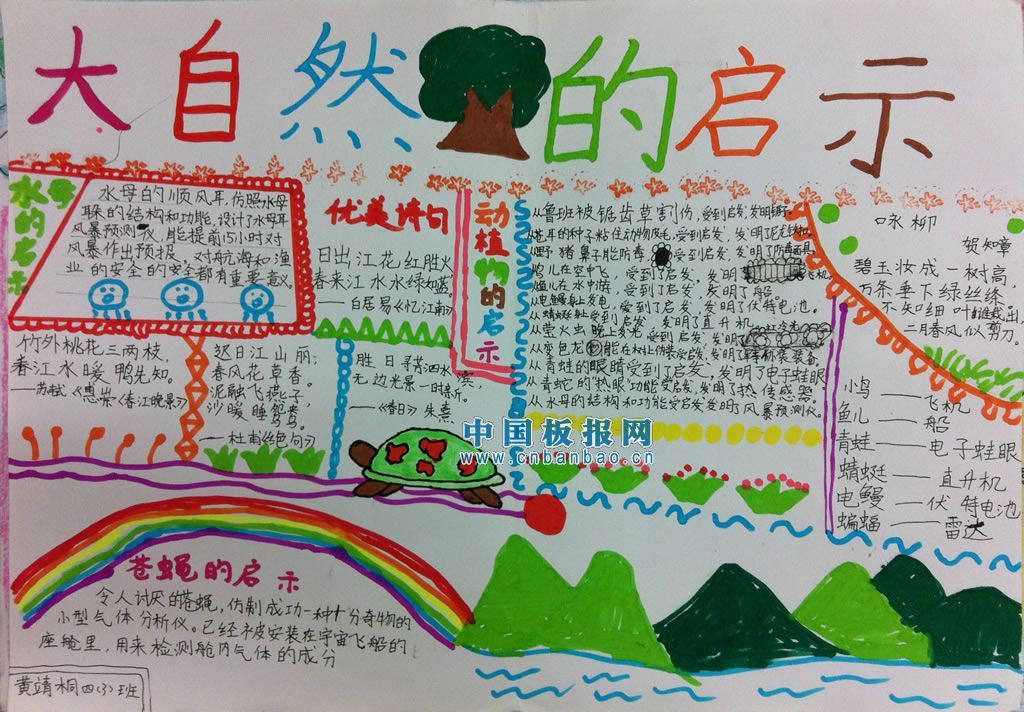 大自然的启示小报设计图