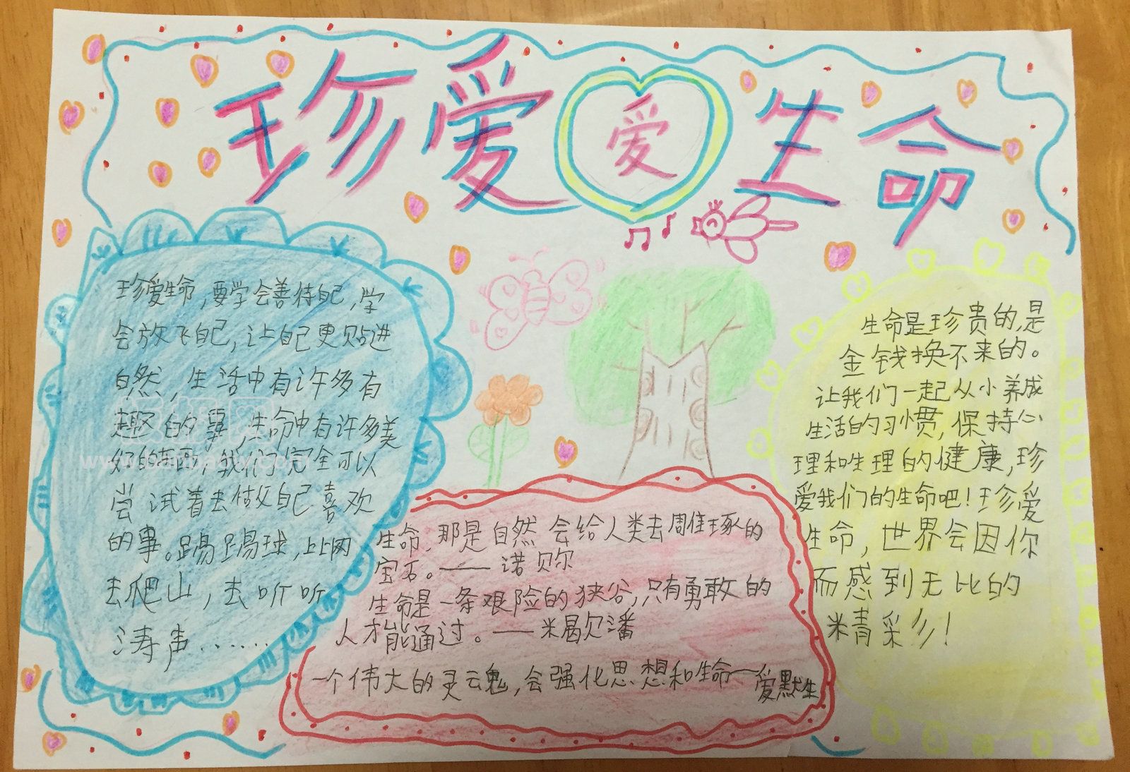 珍爱生命热爱生命手抄报欣赏