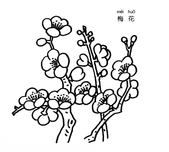 梅花简笔画_如何画梅花