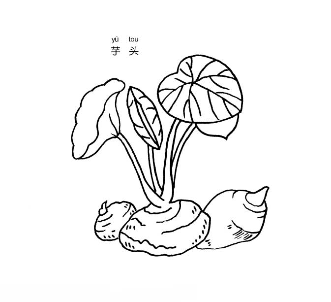 芋头简笔画