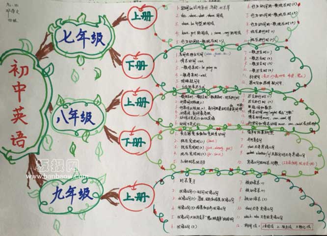 英语知识树手抄报图片展示