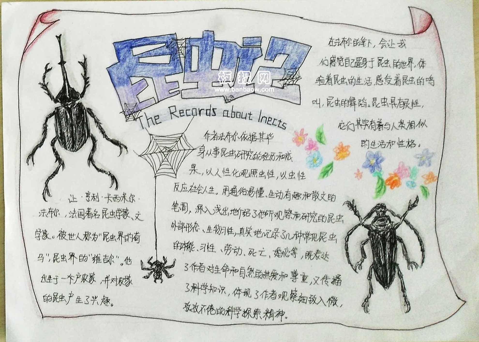 七年级名著《昆虫记》阅读手抄报图片