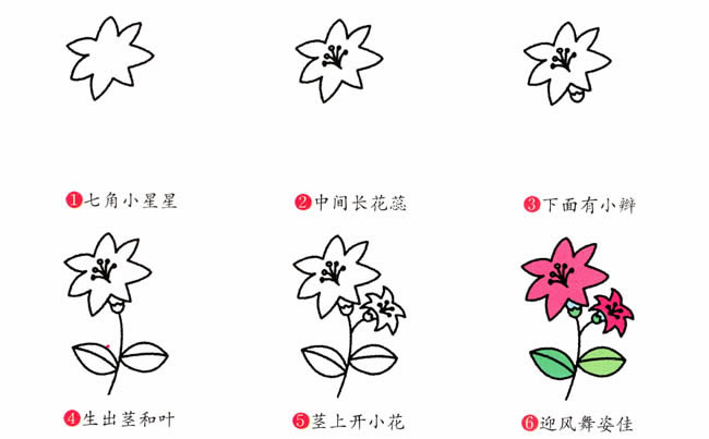 百合花简笔画图片 百合花怎么画