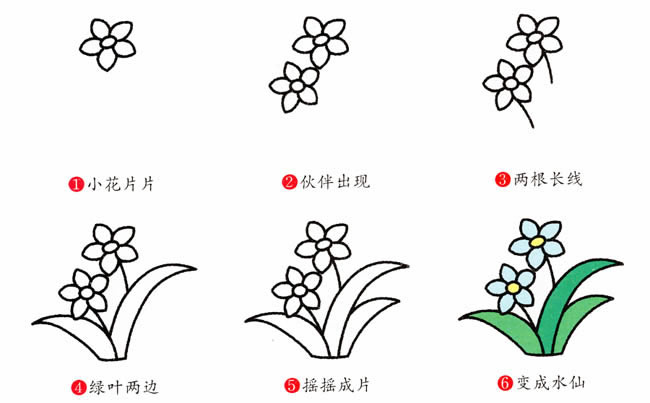 水仙花简笔画图片大全 水仙花怎么画