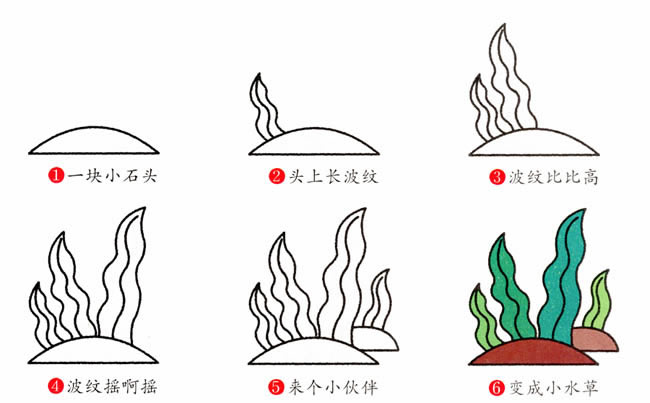 水草植物简笔画 图片 水草怎么画