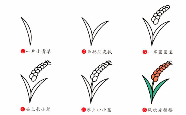 麦穗简笔画步骤图片大全