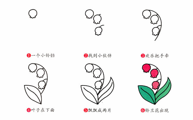 铃兰花简笔画步骤图片大全