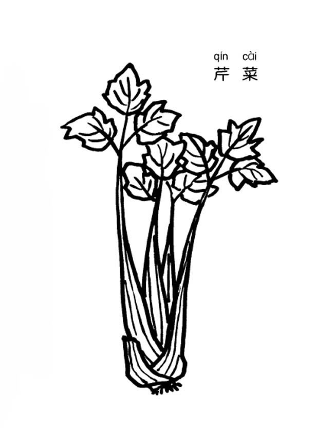 芹菜简笔画图片 芹菜怎么画